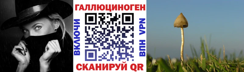 Галлюциногенные грибы MAGIC MUSHROOMS  Серпухов 